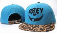 OBEY